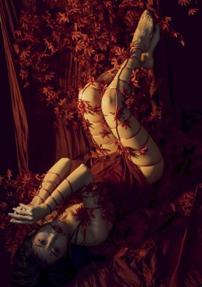 《完美狙击》高清在线_BD英语全集免费播放